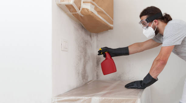 Professional Mold Removal technician working in Washington, VA